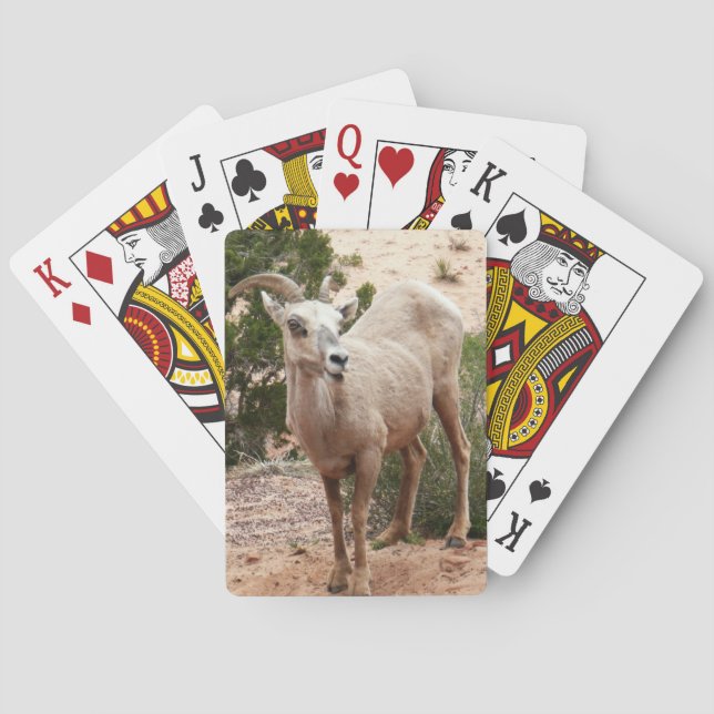 Funny Bighorn Sheep at Zion National Park Playing Cards (Back)