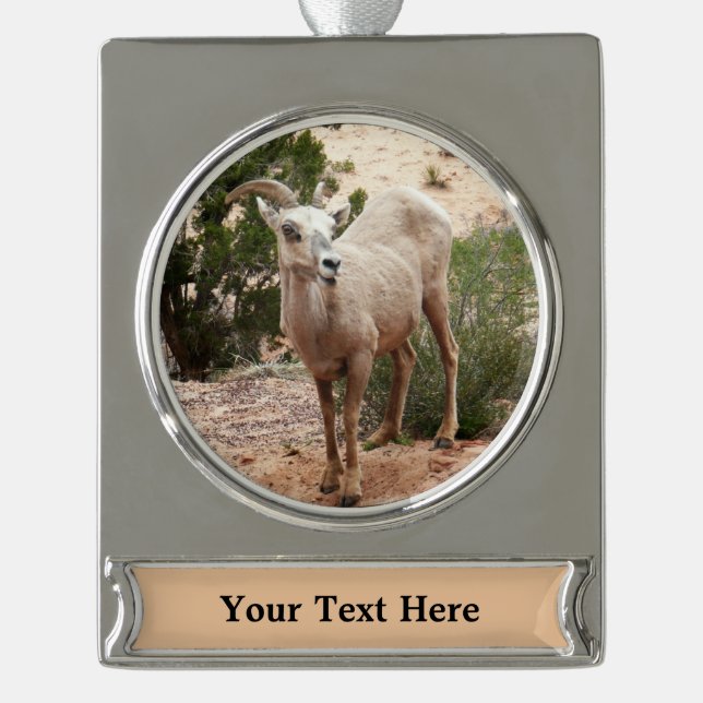 Funny Bighorn Sheep at Zion National Park Silver Plated Banner Ornament (Front)