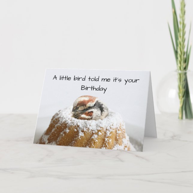 Funny bird birthday card (Front)