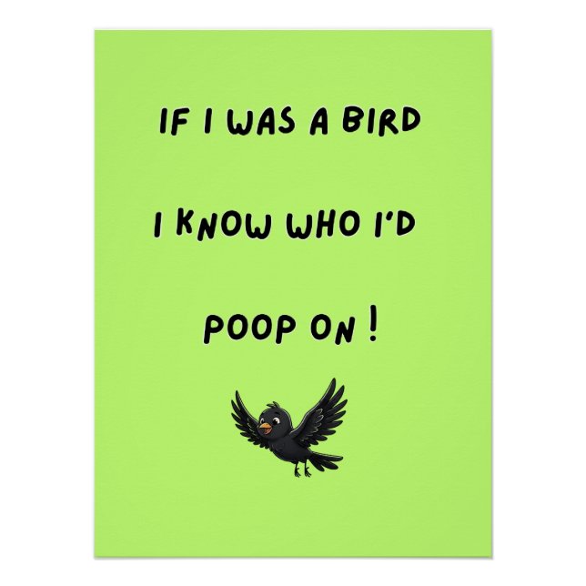 Funny Bird Poster (Front)