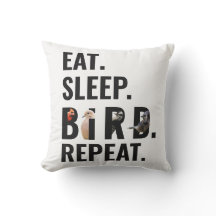 Funny Bird Quote Modern Typography 