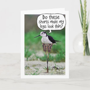 FUNNY BIRD SHORTS Card or gift