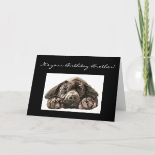 Funny Birthday Brother, Labrador Retriever Card