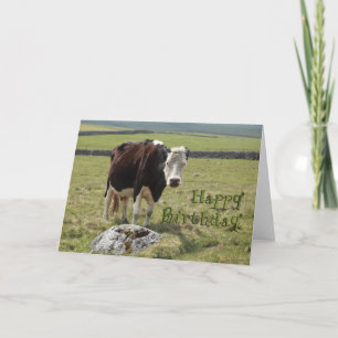 Funny birthday card