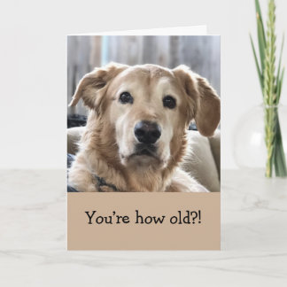 Funny Birthday Card