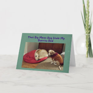 Funny Birthday Card Big Dog in Little Dog Bed