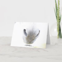 Funny Birthday card featuring donkey