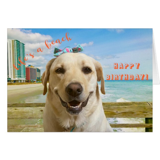 Funny Birthday Card Labrador Dog, plain inside  (Front Horizontal)