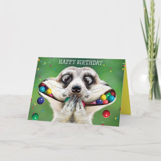 Funny Birthday Card - Meerkat (Front)