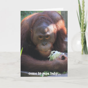 Funny Birthday Card, Orangutan Birthday Kiss! Card
