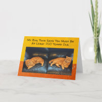 Funny Birthday Card Twin cats think you're old