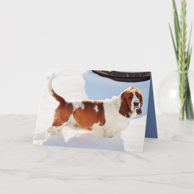 Funny Birthday Card w/Beautiful Basset Hound (Front)