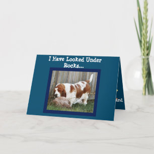 Funny Birthday Card w/Cute Basset Searching
