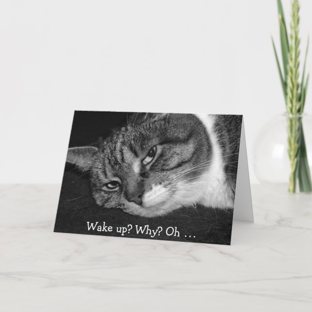 Funny Birthday Card with Cat: Wake up? Why? (Front)