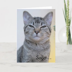 Funny Birthday Card with suspicious Cat