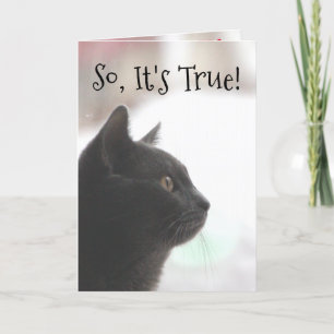 Funny Birthday Cat Card