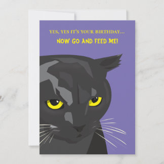 Funny Birthday Cat Card, Invitation