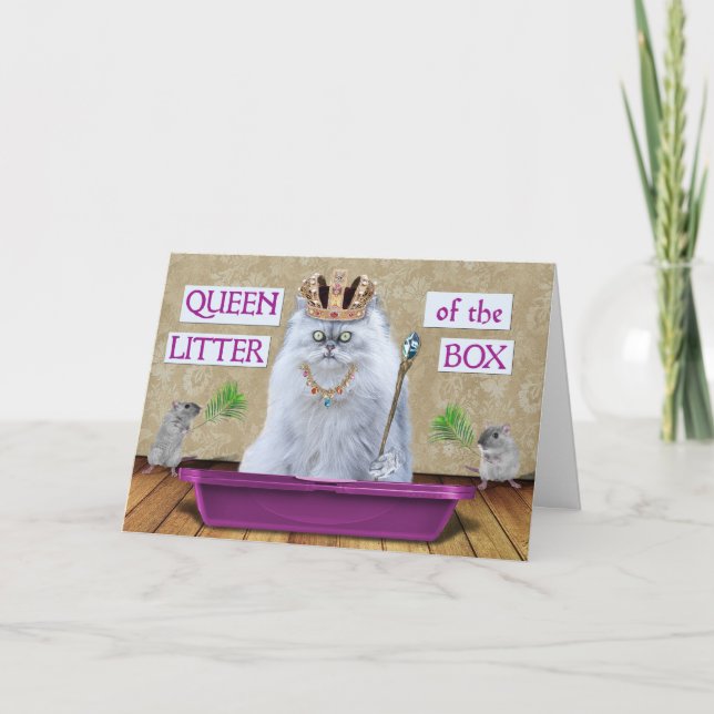 Funny Birthday Cat Queen of the Litter Box Humour Card (Front)