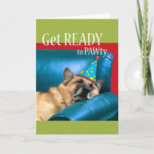 Funny Birthday, Dog Asleep on Couch with Party Hat Card