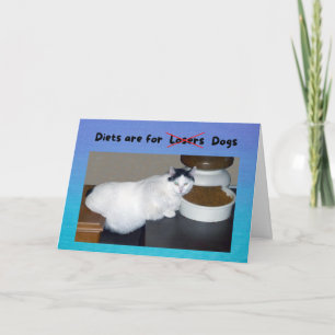 Funny Birthday Fat Cat says Diets are for Dogs Card