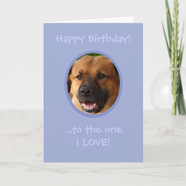 Funny Birthday From Dog To Owner with Love Card (Front)
