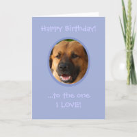 Funny Birthday From Dog To Owner with Love