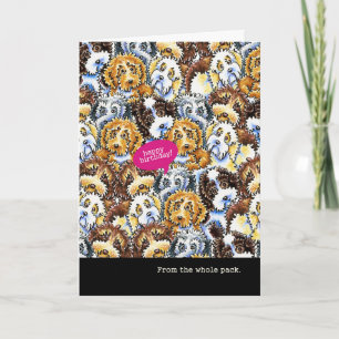 Funny Birthday from Group Mixed Breed Dogs Card