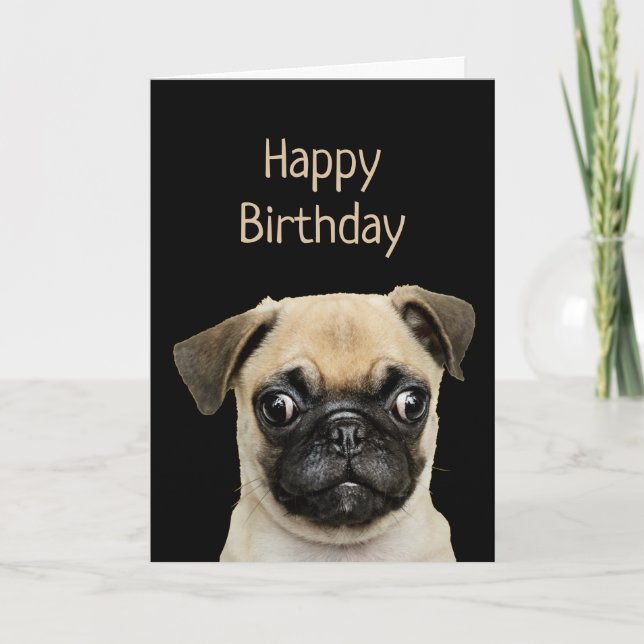 Funny Birthday Humour Pet, Pug Dog Card (Front)