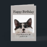 Funny Birthday Old Age Over the Hill, Cat Humor Card<br><div class="desc">If you think you're old you'll be old but if you think you're young you'll be a delusional old fart.  Fun Cat Birthday Humor.</div>
