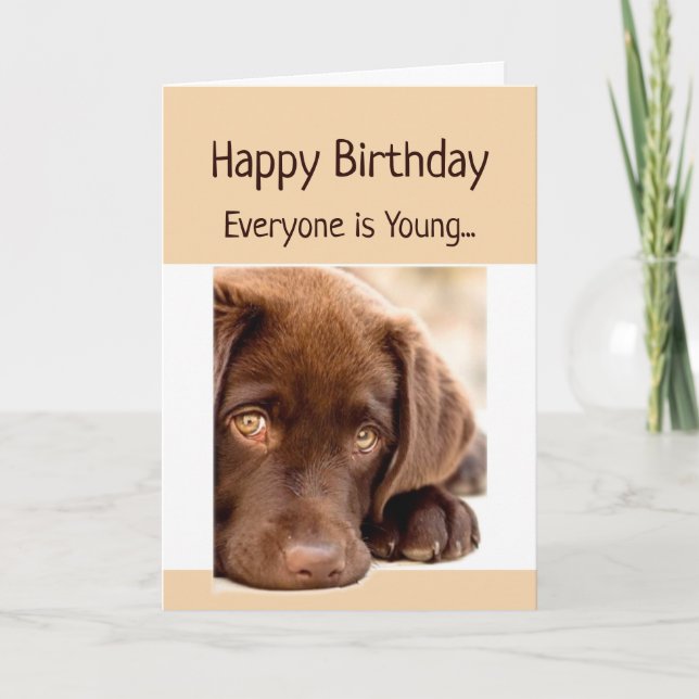 Funny Birthday Old Age Over the Hill Dog Card (Front)