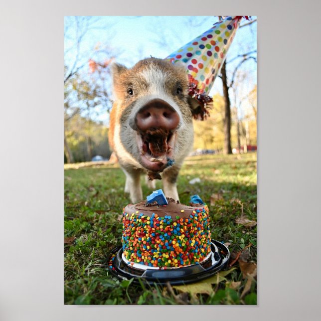 Funny Birthday Pig Poster (Front)