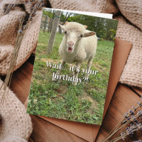 Funny Birthday Sheep Surprise face Farm Animal