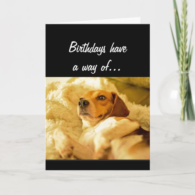Funny Birthday Sneaking up on you Surprised Dog Card (Front)