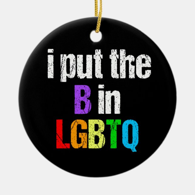 Funny Bisexual LGBTQ Rainbow Humour Quote Ceramic Ornament (Front)