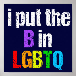 Funny Bisexual LGBTQ Rainbow Humour Quote Poster