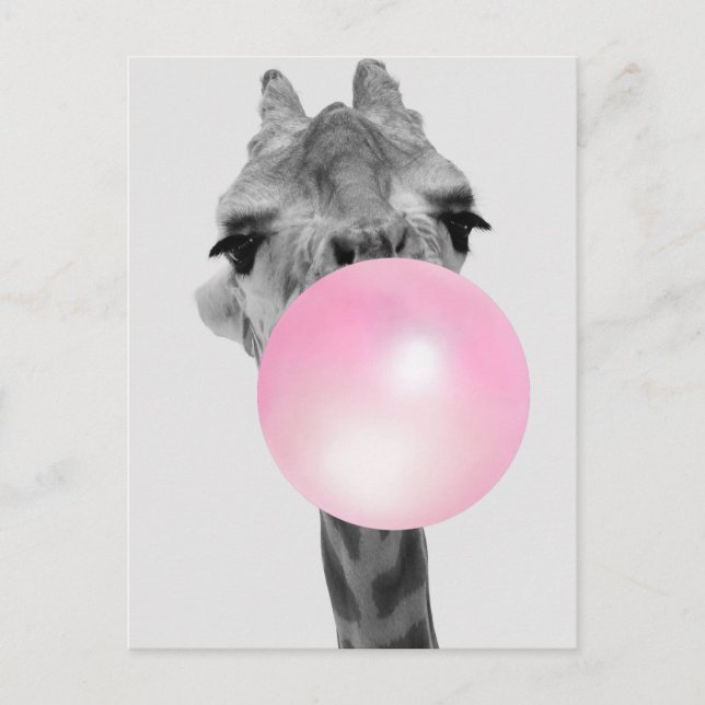 Funny Black and White Giraffe with Bubble Gum Postcard (Front)