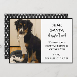 Funny Black and White Pet Paw Print Dog Holiday Card