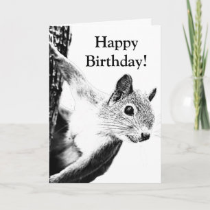 Funny Black and White Squirrel editable  Card