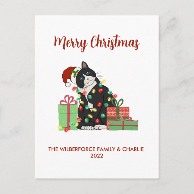Funny Black Cat and Christmas Lights Christmas Holiday Postcard (Front)