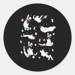Funny black cat easter egg classic round sticker