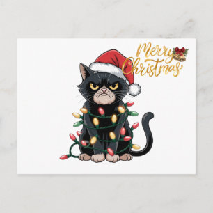 Funny Black Cat Merry Christmas Holiday Postcard
