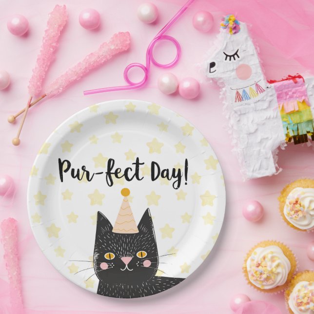 Funny Black Cat Perfect Day Birthday Paper Plate (Party)