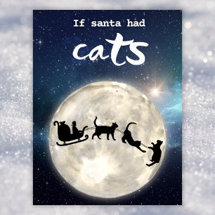 Funny black cat Santa Christmas Holiday Postcard
