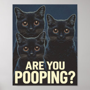 Funny Black Cats Are You Pooping? Cat Lovers Poster