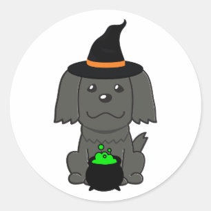 Funny black dog is a witch classic round sticker