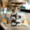 Funny Black Gray and White Kitty Cat Pattern