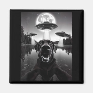 Funny Black Lab Labrador Dog Selfie With Ufos Magnet