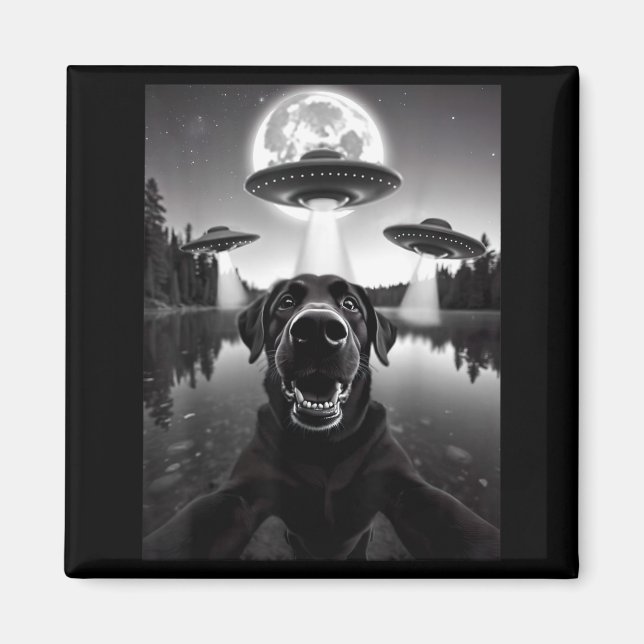 Funny Black Lab Labrador Dog Selfie With Ufos Magnet (Front)