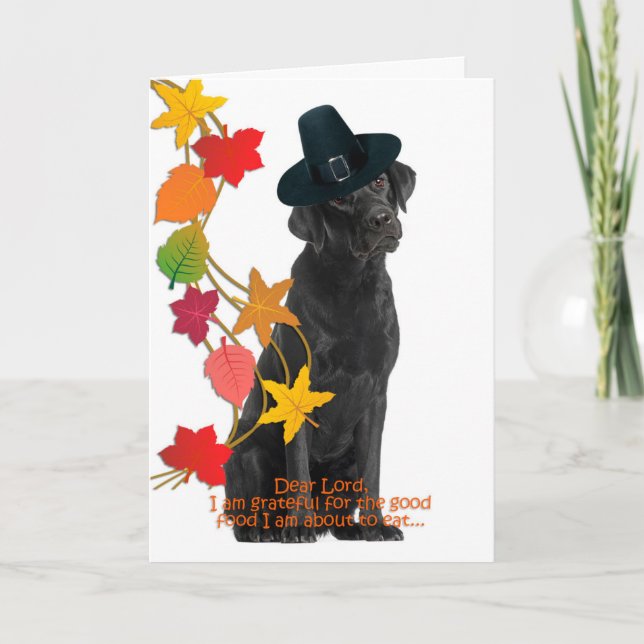 Funny Black Lab Thanksgiving Card (Front)