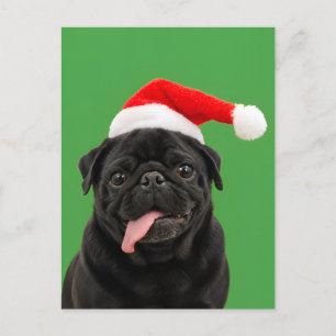 Funny Black Pug Santa Hat Tongue Out Christmas Holiday Postcard
